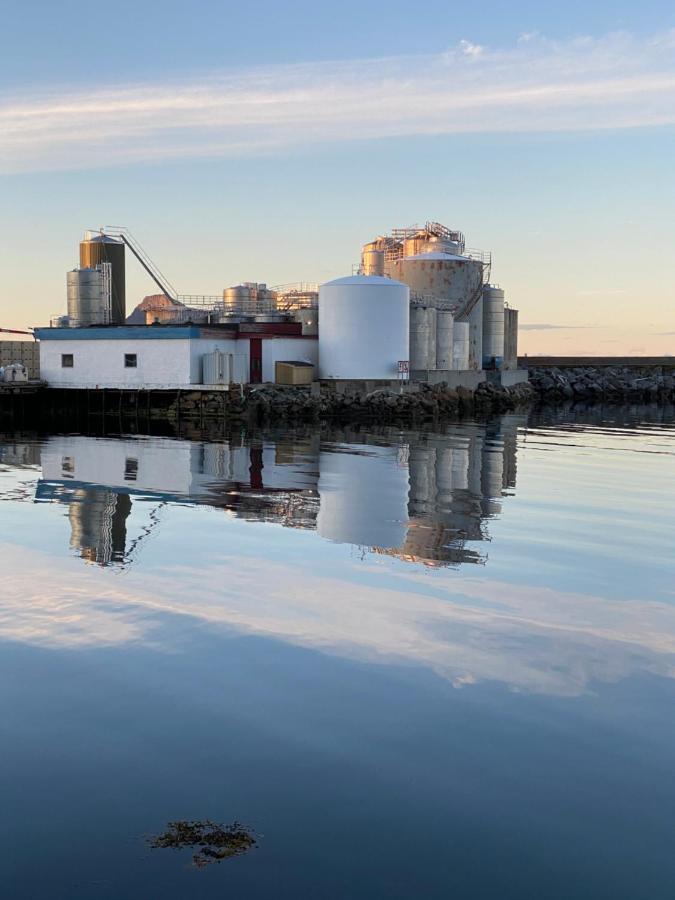 Nordlandshuset "Lottebakken", Ballstad In Lofoten Dış mekan fotoğraf