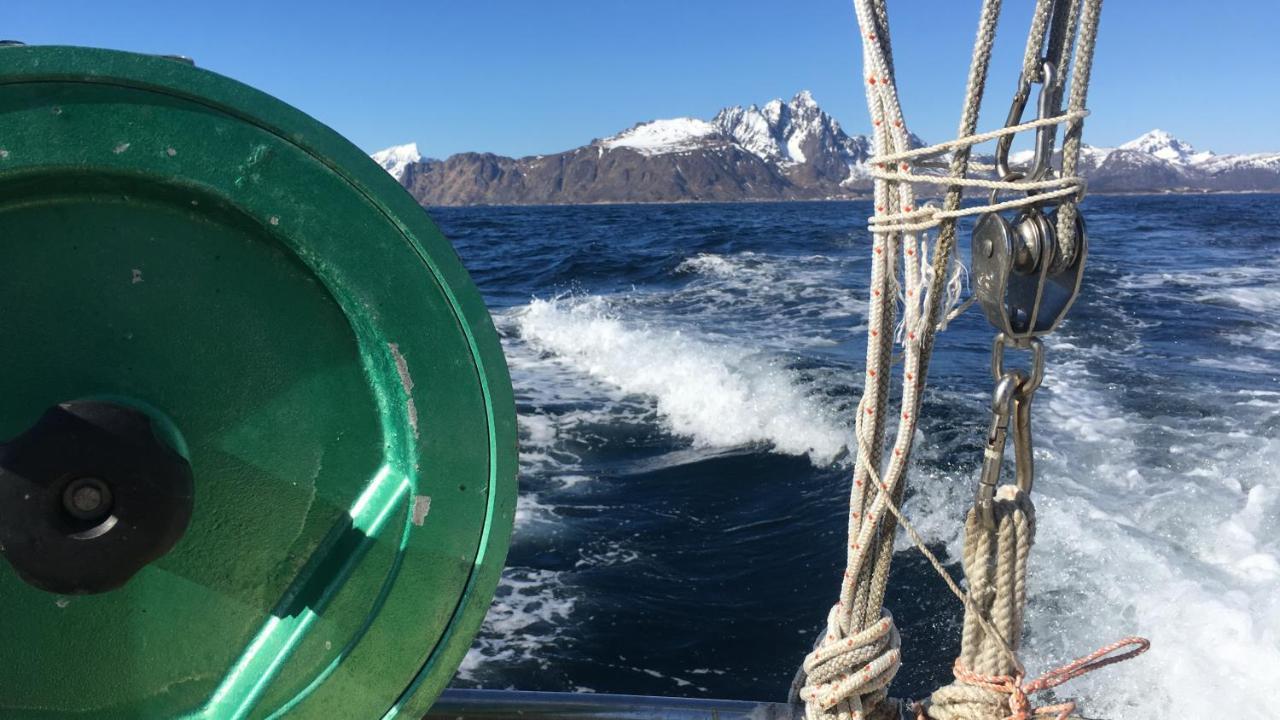 Nordlandshuset "Lottebakken", Ballstad In Lofoten Dış mekan fotoğraf