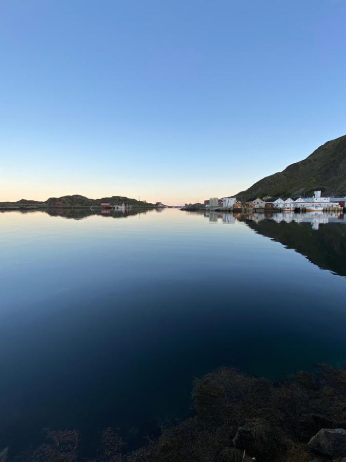 Nordlandshuset "Lottebakken", Ballstad In Lofoten Dış mekan fotoğraf