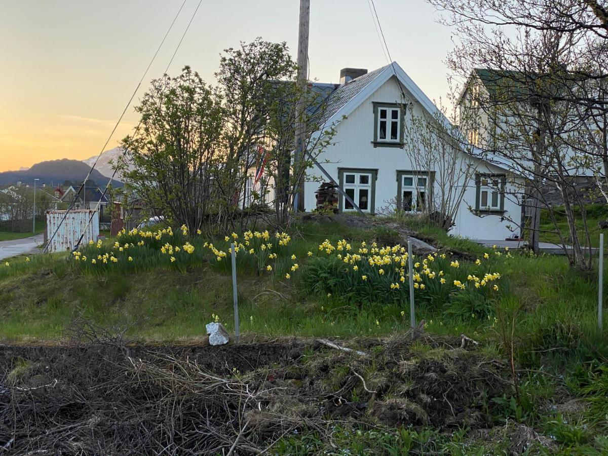 Nordlandshuset "Lottebakken", Ballstad In Lofoten Dış mekan fotoğraf